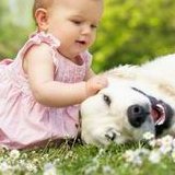 河北特需试管去哪做好？附详细特需试管信息