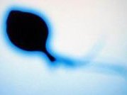 45岁卵巢早衰试管助孕流程剖析，女性卵巢早衰做试管成功率高吗？