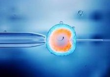 2026泰国试管医院正规吗？去过的人是这么说的