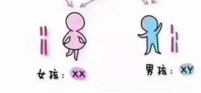 洛阳中心医院试管婴儿成功率，2026最新助孕成功率参考