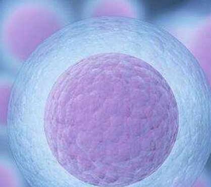 广州中山六院做试管成功率高吗？