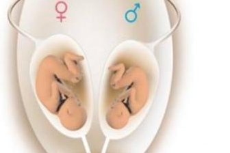 2026年单身去洛阳市中心医院做三代试管的成功率怎么样？需要哪些证件