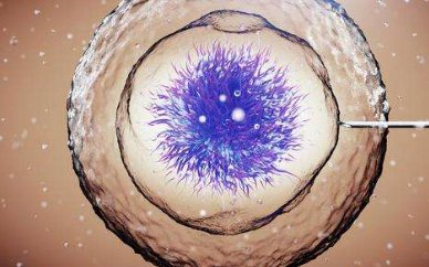 去泰国婴儿试管流程，总过程是什么？